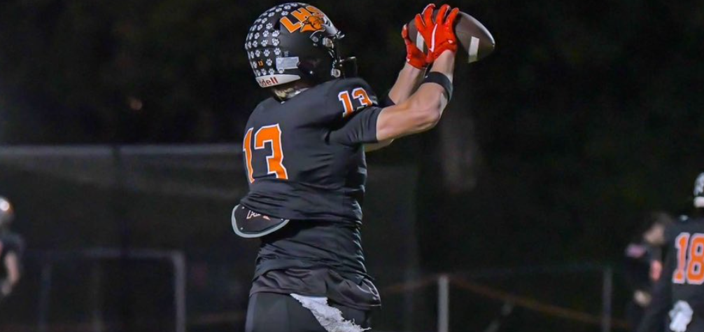 的表現不僅 的表現不僅